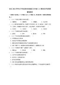 辽宁省沈阳市皇姑区2021-2022学年九年级上学期期末化学试卷（word版 含答案）