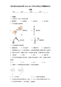 四川省乐山市市中区2020-2021学年九年级上学期期末化学试题（word版 含答案）