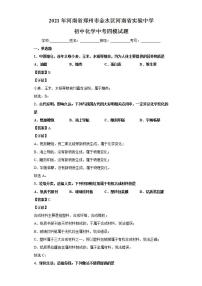 2021年河南省郑州市金水区河南省实验中学初中化学中考四模试题