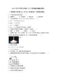 陕西省汉中市镇巴县2021-2022学年九年级上学期化学期末模拟题一（word版 含答案）