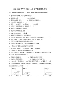 陕西省商洛市镇安县2021-2022学年九年级上学期化学期末模拟题一（word版 含答案）