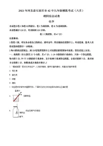 河北省石家庄市四十二中2021年中考模拟化学试题(含答案)