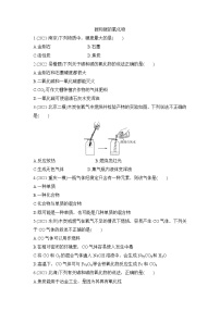 2022年中考化学一轮复习 碳和碳的氧化物