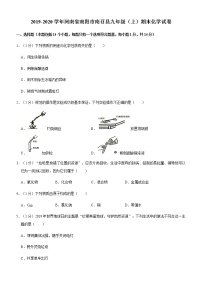 2019-2020学年河南省南阳市南召县九年级（上）期末化学试卷（解析版）