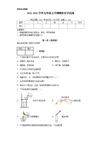 2021-2022学年九年级上册化学期末模拟试卷