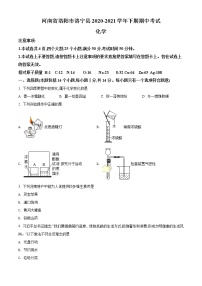 河南省洛阳市洛宁县2021学年九年级下学期期中化学试题（含答案）