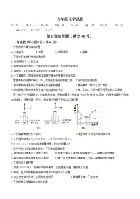 山东省淄博市周村区2021-2022学年九年级上学期期末化学试题(word版 含答案)