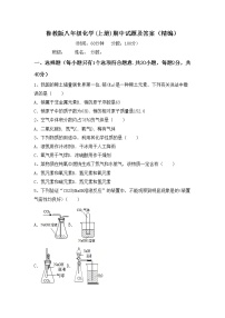 鲁教版八年级化学(上册)期中试题及答案（精编）