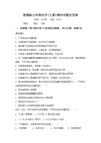 鲁教版九年级化学(上册)期中试题及答案