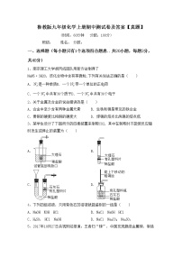 鲁教版九年级化学上册期中测试卷及答案【真题】