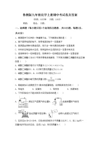 鲁教版九年级化学上册期中考试卷及答案