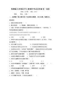 鲁教版九年级化学上册期中考试及答案【一套】练习题