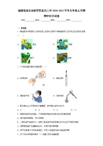 2020-2021学年福建省龙岩市新罗区龙岩二中九年级上学期期中化学试题