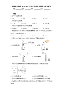 2020-2021学年福建省宁德市九年级上学期期末化学试题（含答案与解析）