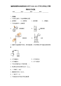 2020-2021学年福建省莆田市仙游县南方中学九年级上学期期末化学试题（含答案与解析）