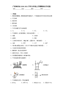 2020-2021学年广西来宾市九年级上学期期末化学试题（含答案与解析）