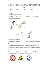 2020-2021学年广西贺州市平桂区九年级上学期期末化学试题（含答案与解析）