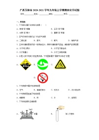 2020-2021学年广西玉林市九年级上学期期末化学试题（含答案与解析）