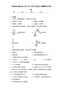 2020-2021学年广西钦州市浦北县九年级上学期期中化学试题（含答案与解析）