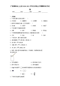 2020-2021学年广西柳州市三江县九年级上学期期中化学试题（含答案与解析）