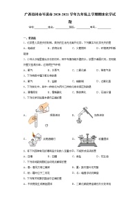 2020-2021学年广西梧州市岑溪市九年级上学期期末化学试题（含答案与解析）