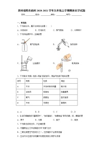 2020-2021学年贵州省黔东南州九年级上学期期末化学试题（含答案与解析）