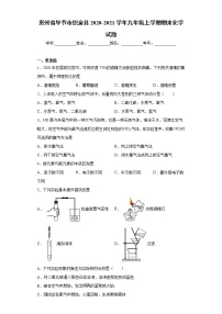 2020-2021学年贵州省毕节市织金县九年级上学期期末化学试题（含答案与解析）