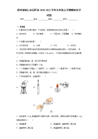 2020-2021学年贵州省铜仁市石阡县九年级上学期期末化学试题（含答案与解析）