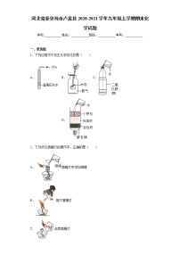 2020-2021学年河北省秦皇岛市卢龙县九年级上学期期末化学试题（含答案与解析）