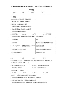 2020-2021学年河北省秦皇岛市青龙县九年级上学期期末化学试题（含答案与解析）