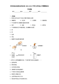 2020-2021学年河北省石家庄市高邑县九年级上学期期末化学试题（含答案与解析）