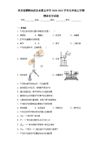 2020-2021学年河北省邯郸市武安市第五中学九年级上学期期末化学试题（含答案与解析）