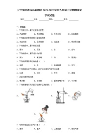 辽宁省大连市高新园区2021-2022学年九年级上学期期末化学试试题（word版 含答案）