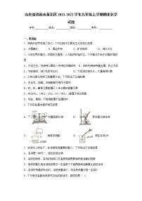 山东省济南市莱芜区2021-2022学年九年级上学期期末化学试题（word版 含答案）