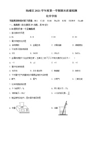 2022年上海市杨浦区中考一模化学试题 带详解