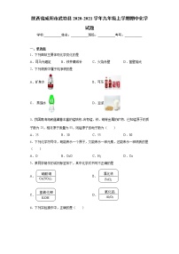 2020-2021学年陕西省咸阳市武功县九年级上学期期中化学试题（含答案与解析）