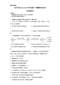 安徽省滁州市定远县育才学校2021-2022学年九年级上学期期末考试化学试题（word版 含答案）