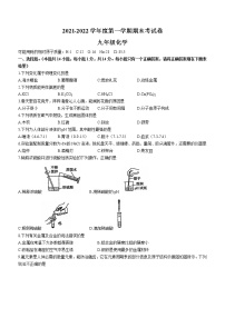 河南省周口市鹿邑县2021-2022学年九年级上学期期末化学试题（word版 含答案）