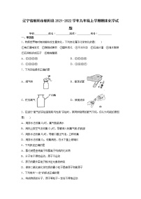 辽宁省朝阳市朝阳县2021-2022学年九年级上学期期末化学试题（word版 含答案）