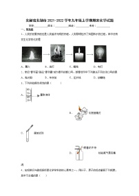 安徽省芜湖市2021-2022学年九年级上学期期末化学试题（word版 含答案）