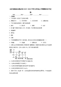 山东省临沂市临沭县2021-2022学年九年级上学期期末化学试题（word版 含答案）