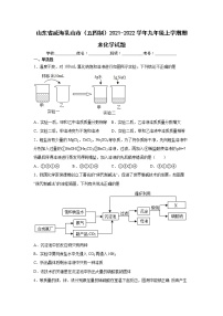 山东省威海乳山市（五四制）2021-2022学年九年级上学期期末化学试题（word版 含答案）