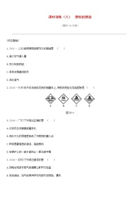 中考化学一轮复习第六单元燃烧与燃料课时训练08燃料的燃烧练习鲁教版