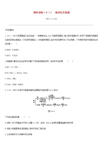 中考化学一轮复习第八单元海水中的化学课时训练12海洋化学资源练习鲁教版