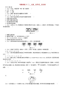 河北专版中考化学复习考题训练十二元素化学式化合价