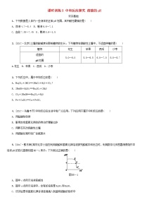 湖南省中考化学复习课时训练8中和反应探究溶液的pH练习