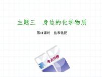 福建省中考化学复习专题三身边的化学物质第11课时盐和化肥课件