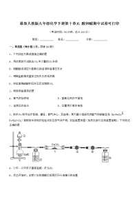 2021学年最新人教版九年级化学下册第十单元 酸和碱期中试卷可打印