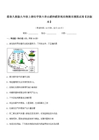 2022年最新人教版九年级上册化学第六单元碳和碳的氧化物期末模拟试卷【各版本】