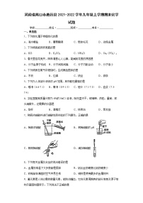 河南省周口市鹿邑县2021-2022学年九年级上学期期末化学试题（word版 含答案）